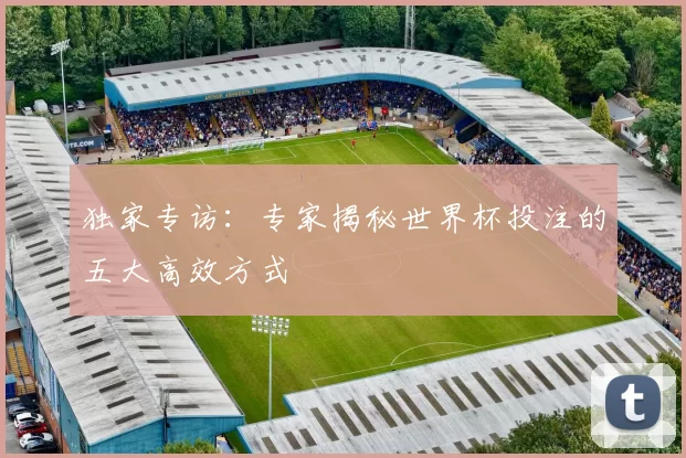独家专访:专家揭秘世界杯投注的五大高效方式