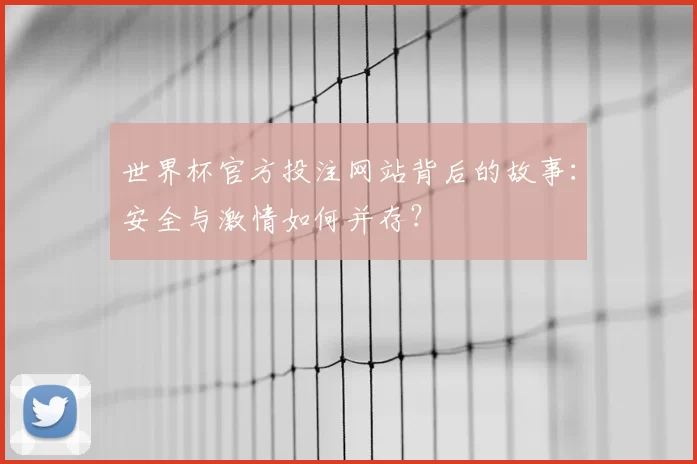 世界杯官方投注网站背后的故事:安全与激情如何并存?