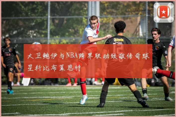 大卫鲍伊与NBA跨界联动致敬传奇球星科比布莱恩特