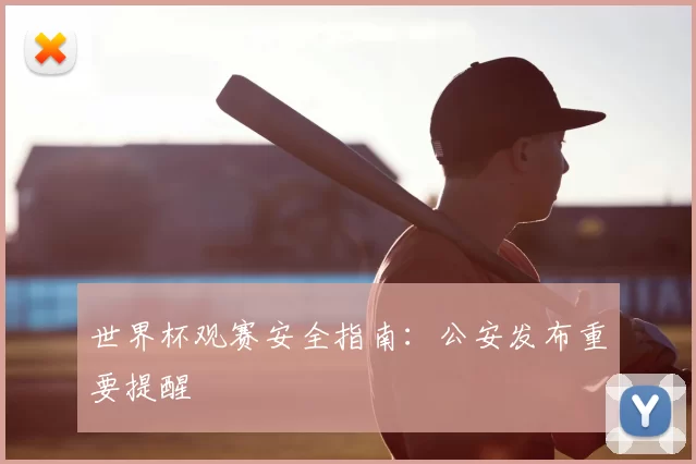世界杯观赛安全指南：公安发布重要提醒