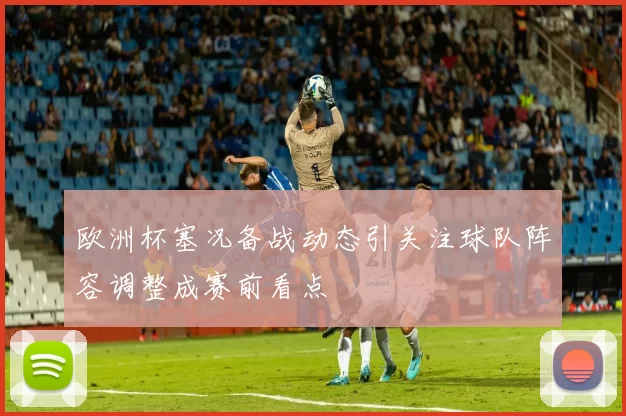 欧洲杯塞况备战动态引关注球队阵容调整成赛前看点