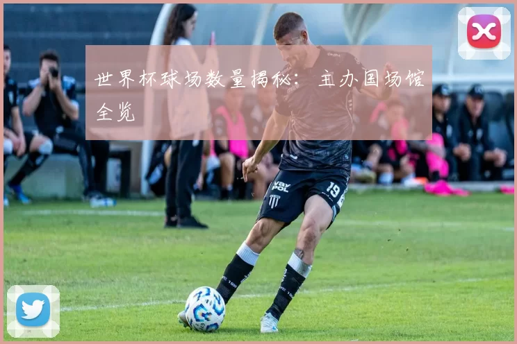 世界杯球场数量揭秘:主办国场馆全览