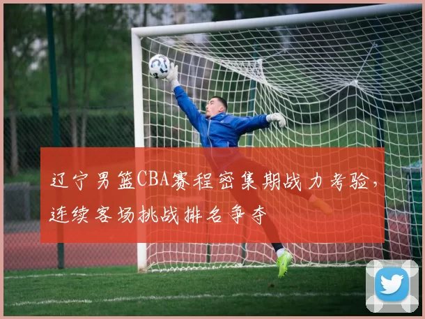 辽宁男篮CBA赛程密集期战力考验，连续客场挑战排名争夺