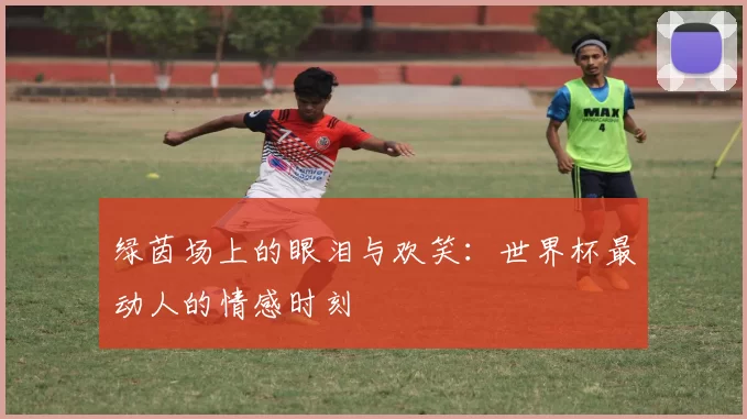 绿茵场上的眼泪与欢笑:世界杯最动人的情感时刻