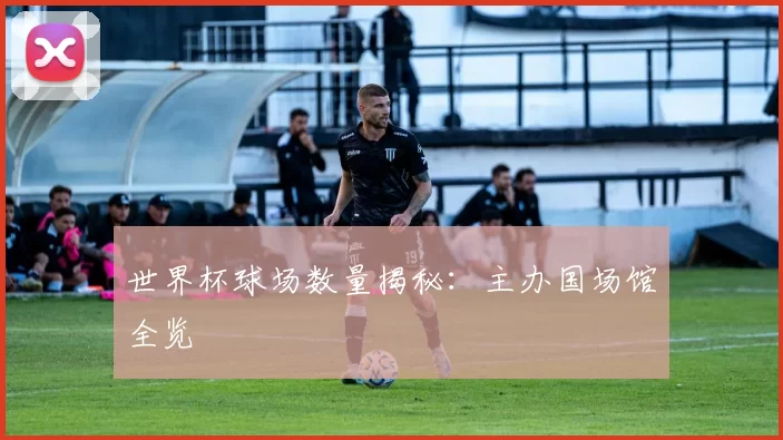 世界杯球场数量揭秘:主办国场馆全览