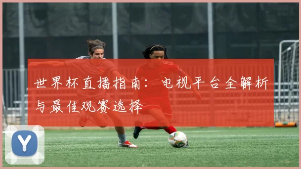 世界杯直播指南:电视平台全解析与最佳观赛选择