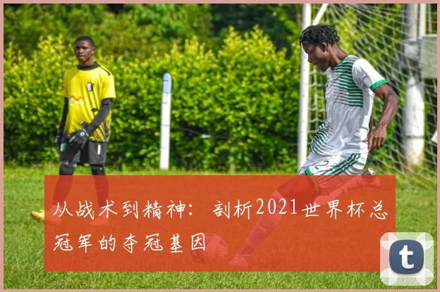 从战术到精神：剖析2021世界杯总冠军的夺冠基因