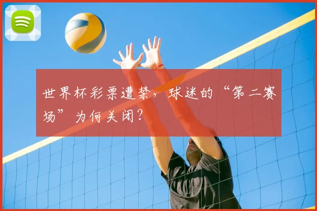 世界杯彩票遭禁,球迷的“第二赛场”为何关闭?