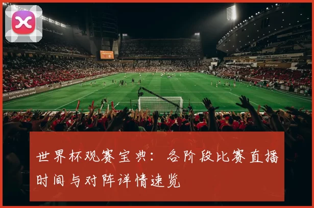 世界杯观赛宝典：各阶段比赛直播时间与对阵详情速览