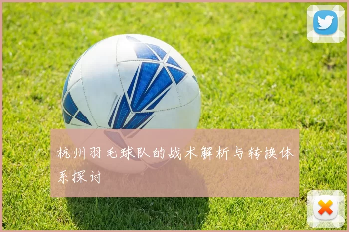 杭州羽毛球队的战术解析与转换体系探讨